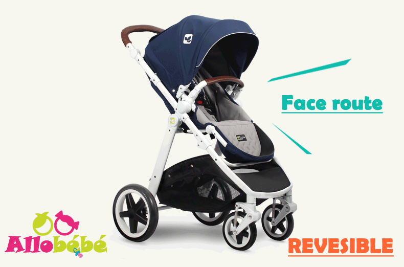 poussette couleu bleu non disponible