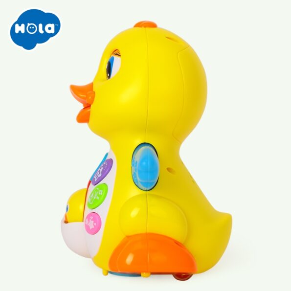 Canard musical lumineux – Hola-15622