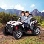 POLARIS RANGER RZR 900