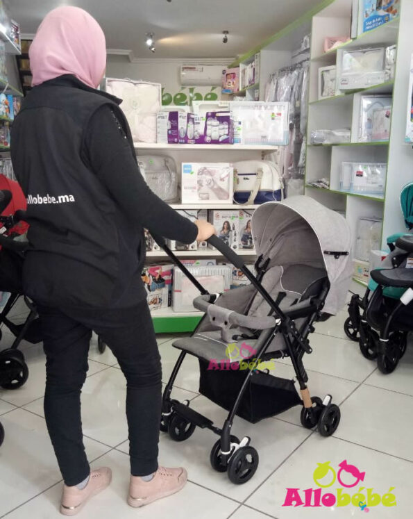 poussette reversible landau pas cher