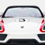 Rastar Car R/C 1:14 PORSCHE 918 Spyder Performance