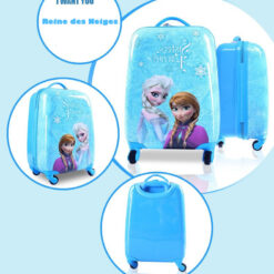 disney valise