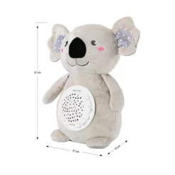dimension koala