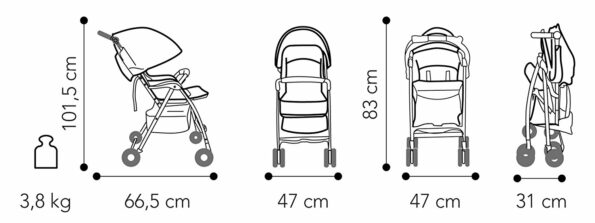 dimension MINI LARGE TWIGGY – BREVI