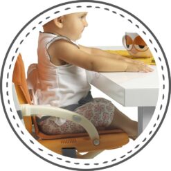 Réhausseur Chaise Haute Smarty 6m+ VERT - Cam -7664