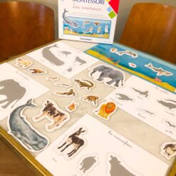 jeu éducatif les animaux
