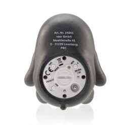 Reer : Thermomètre de bain numérique 2 en 1 Gris-10077