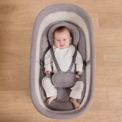 Berceau Multi-Motion Swing