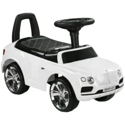 Ma premiere voiturette Porteur bébé - Bentley