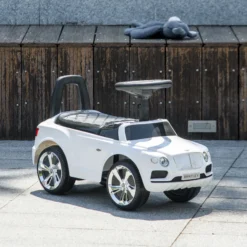 Ma premiere voiturette Porteur bébé - Bentley