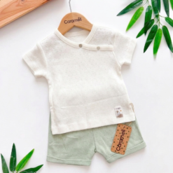 t-shirt Short bébé Coton Organique 0-3mois - Caramell
