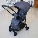 Poussette Valise Réversible – Legendary-0