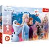 puzzle frozen au Maroc pas cher