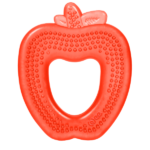 anneau dentition
