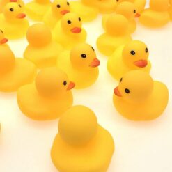 Lot de 8 Canard de Bain