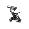Tricycle MoMi IRIS 360° Gris
